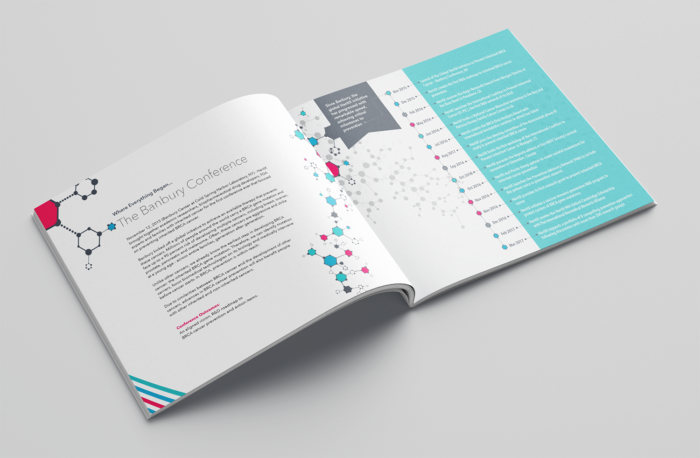 A mockup of a brochure for a conference