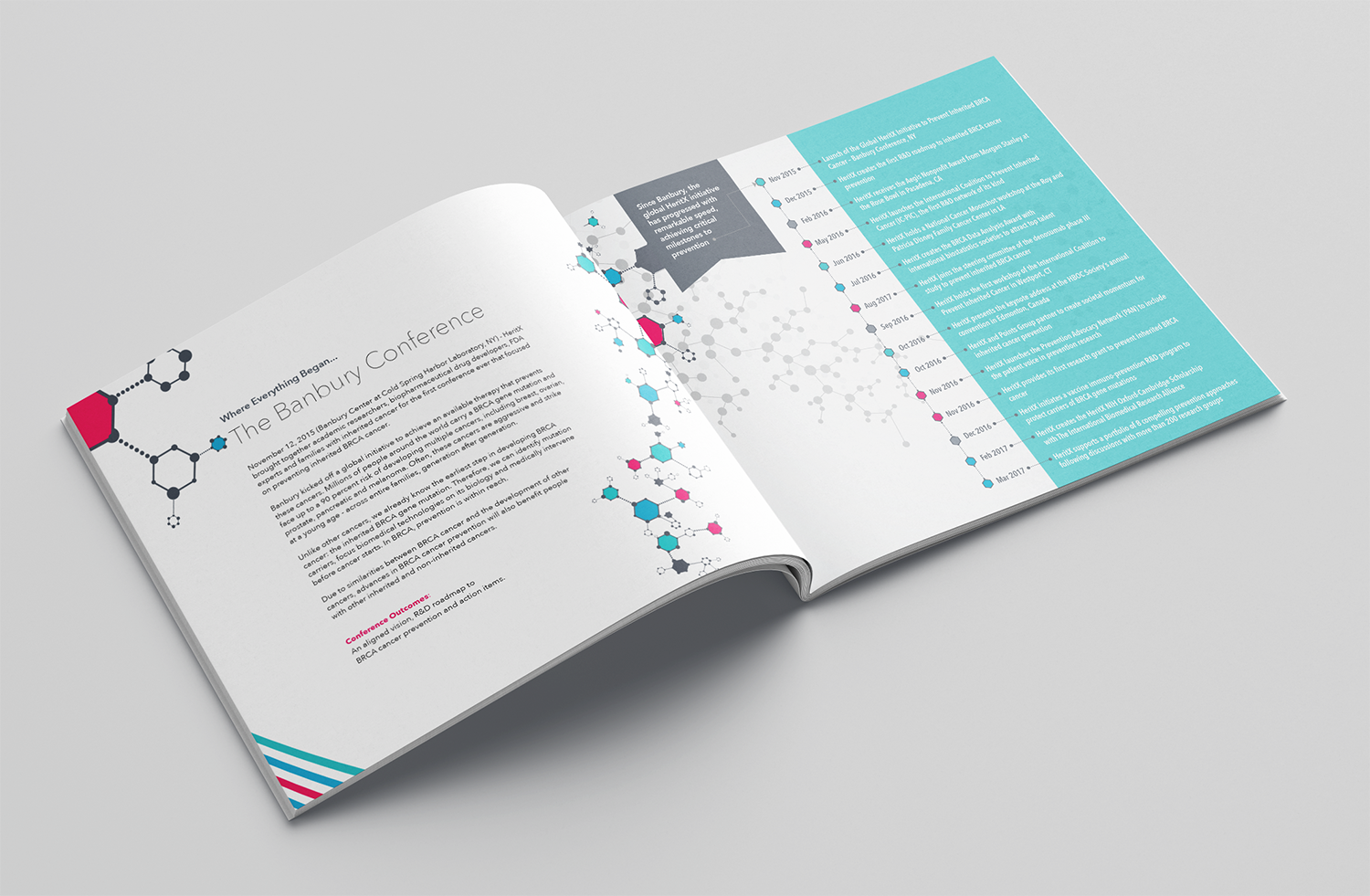 A mockup of a brochure created for a conference